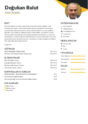 Gemi Kaptanı CV Örnekleri cv indir